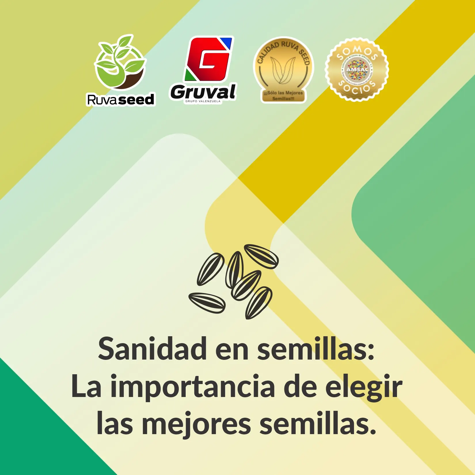 Sanidad en semillas